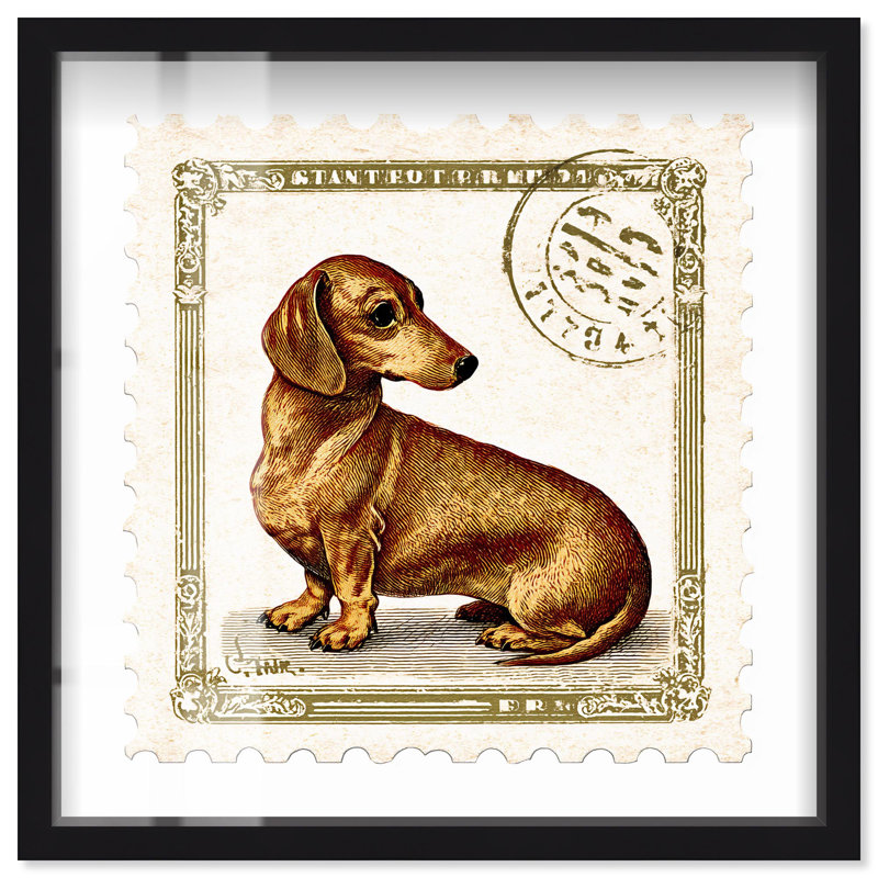 «Urban Pup Shadowbox Print» par Art Remedy, H 13 po x l 13 po, Noir