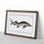 Rusfish-Sturgeon Fish by M.E. Bloch - Picture Frame Painting Print-55613327-55613328