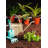 Plant Stand