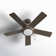 Perceus 42'' Ceiling Fan with LED Lights