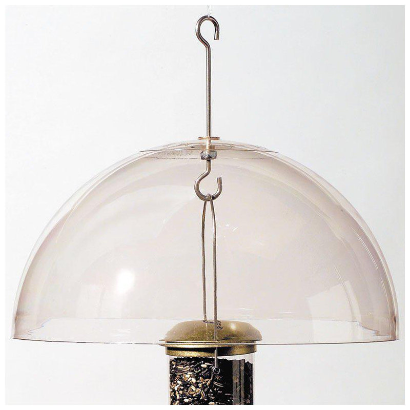 Super Dome de Delia en transparent
