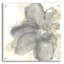Floral gris I par Chris Paschke - impression sans cadre-1025536223