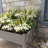 Dahlonega Wood Elevated Planter-582728377