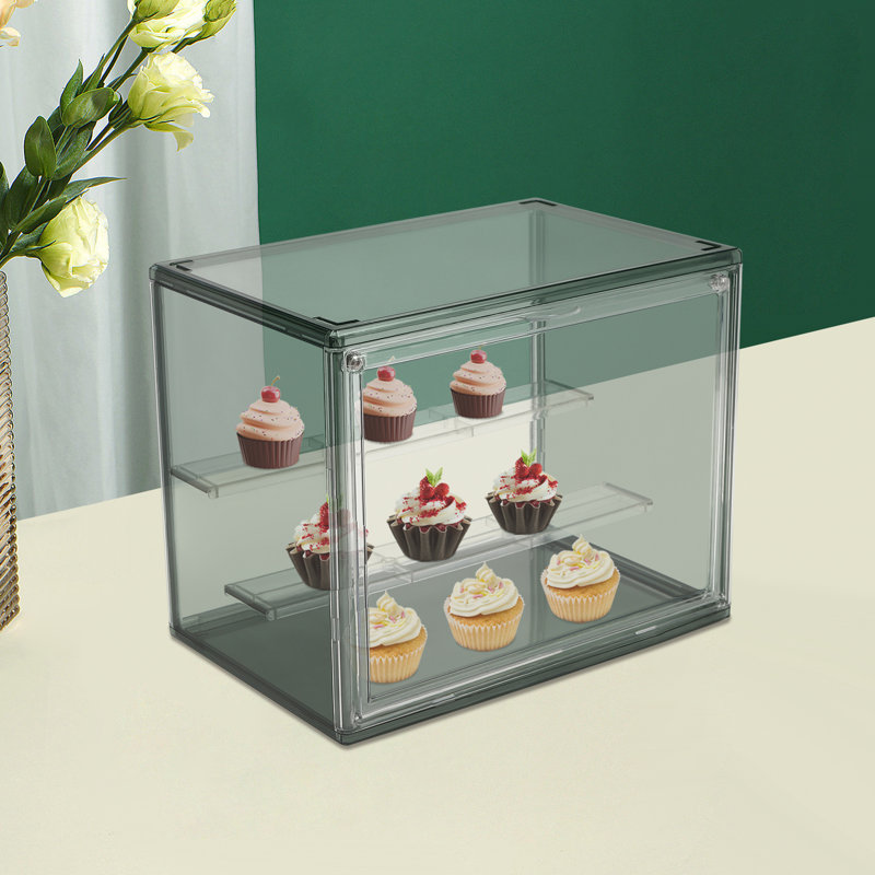 8.27'' H X 10.63'' W  Plastic Display Case, Green/Transparent