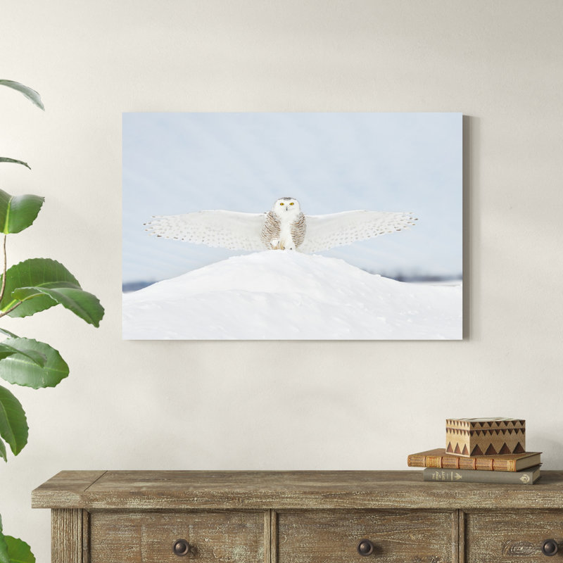 Hibou en vol III, H 24 po x l 36 po x P 1,25 po