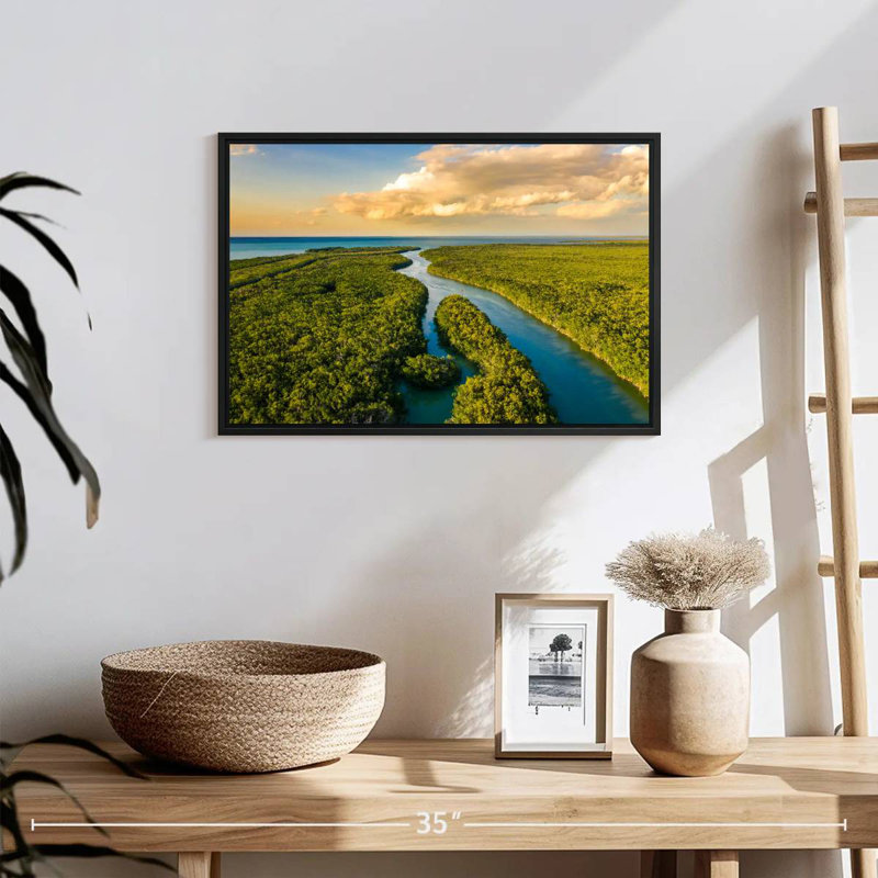 Parc national des Everglades, 19 po x 13 po, Cadre flottant noir
