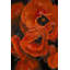 «Poppy Bouquet - Contemporary Flowers», reproduction encadrée-2066338053-2066338056