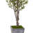 72 " H Faux Olive Tree in Stone Planter