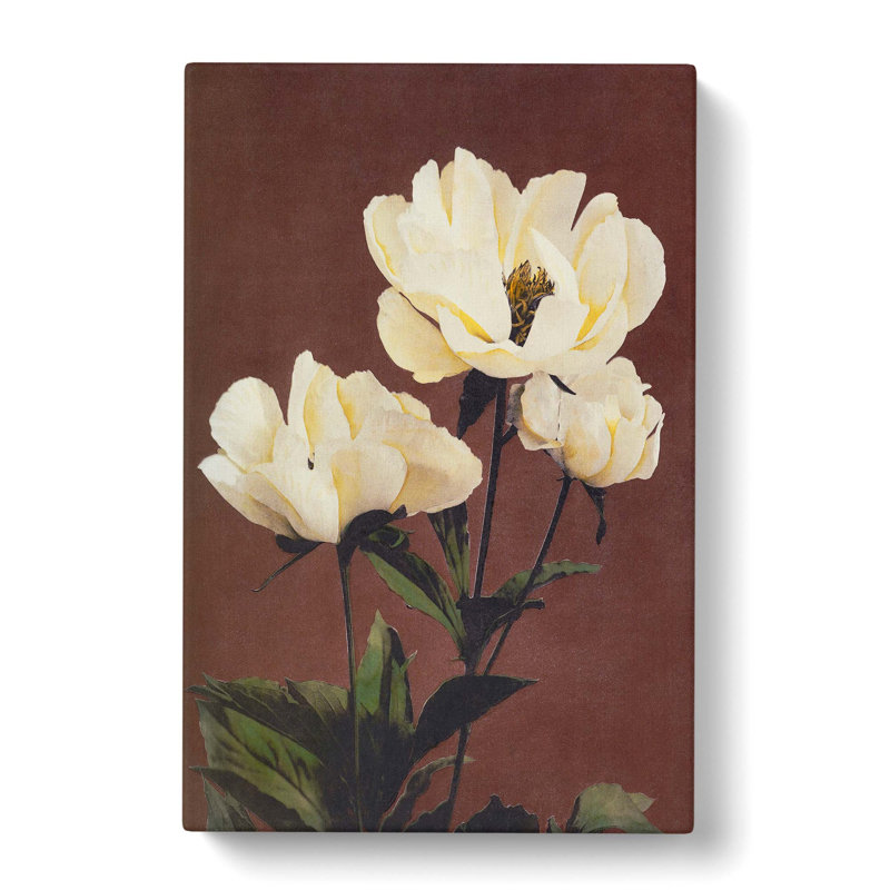 Peony Flowers by Kazumasa Ogawa - Wrapped Canvas, 76cm H x 50cm W x 3cm D