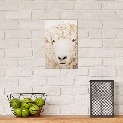 Woolly by Diane Fifer - Wrapped Canvas Painting