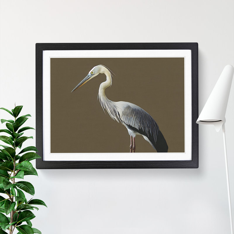 A Head Turning Heron Bird - Single Picture Frame Print, Black, 46cm H x 64cm W x 2cm D