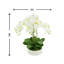 Orchid Arrangement In A Round Planter With Leaves And Moss