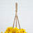 Geranium Hanging Basket UV Resistant