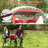 Double Beach Chair with Adjustable Canopy Oversized Folding Camping Chair Red-1200060628