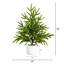Arbre de Noël pin blanc 1,9 pi