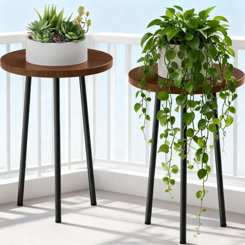 Ensemble de 2 plantes Mid-Century Modern