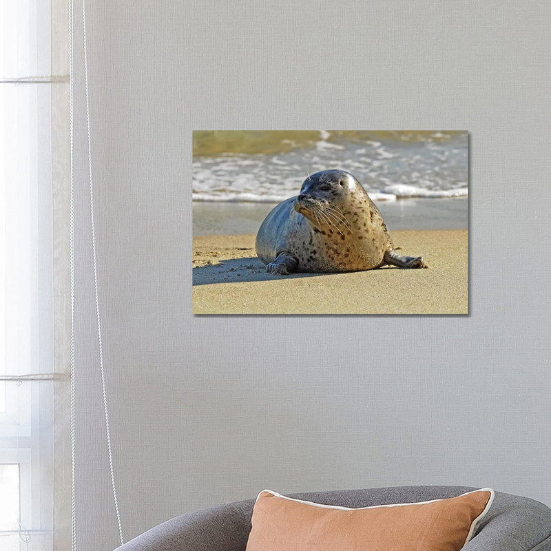 Stepping Out Of The Water by Brian Wolf - Wrapped Canvas Print