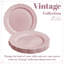 Assiette plate 10 personnes-466788687