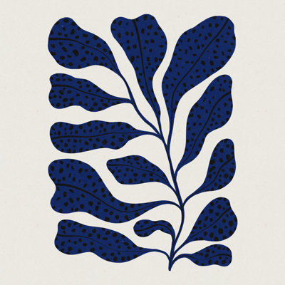 Plante bleue 2