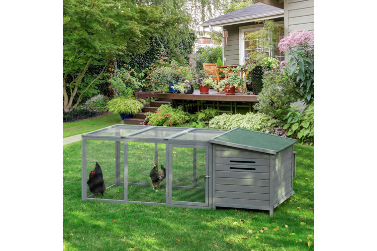 small chicken coop and run in backyard with two chickens inside 