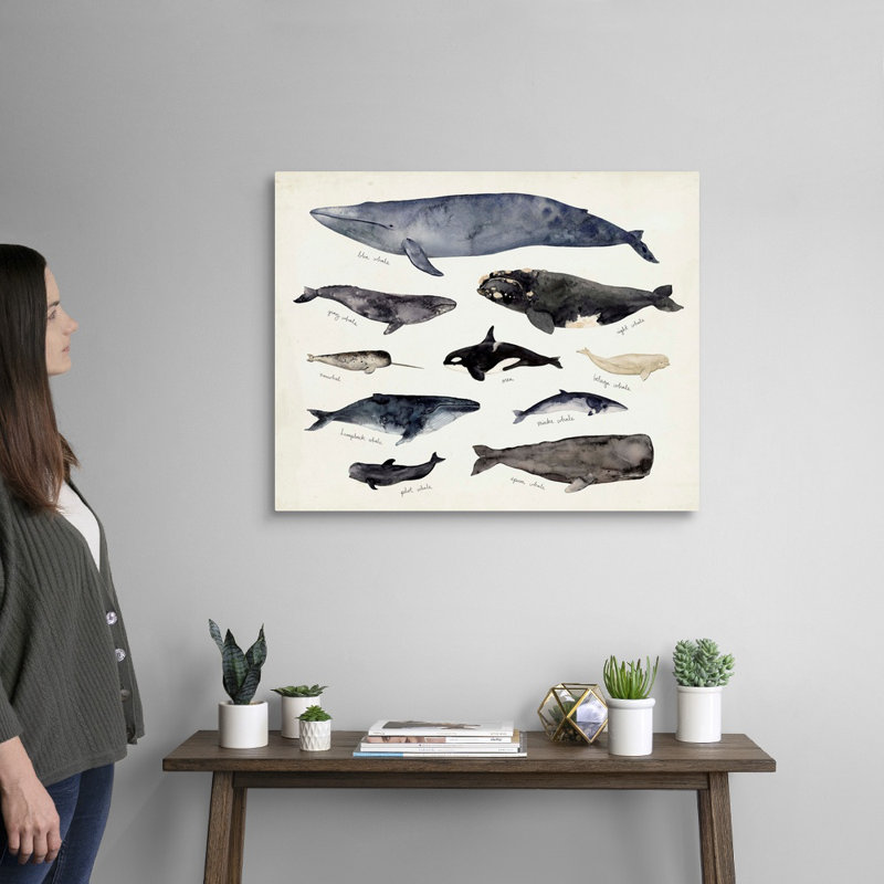 «Baleine graphique III» par Victoria Barnes - impression sur toile, Toile tendue, H 24 po x l 30 po x P 1,25 po