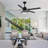 Kyton 52'' Ceiling Fan with LED Lights