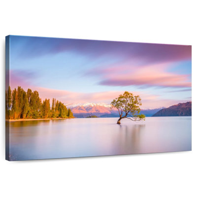 Alvord That Wanaka Tree