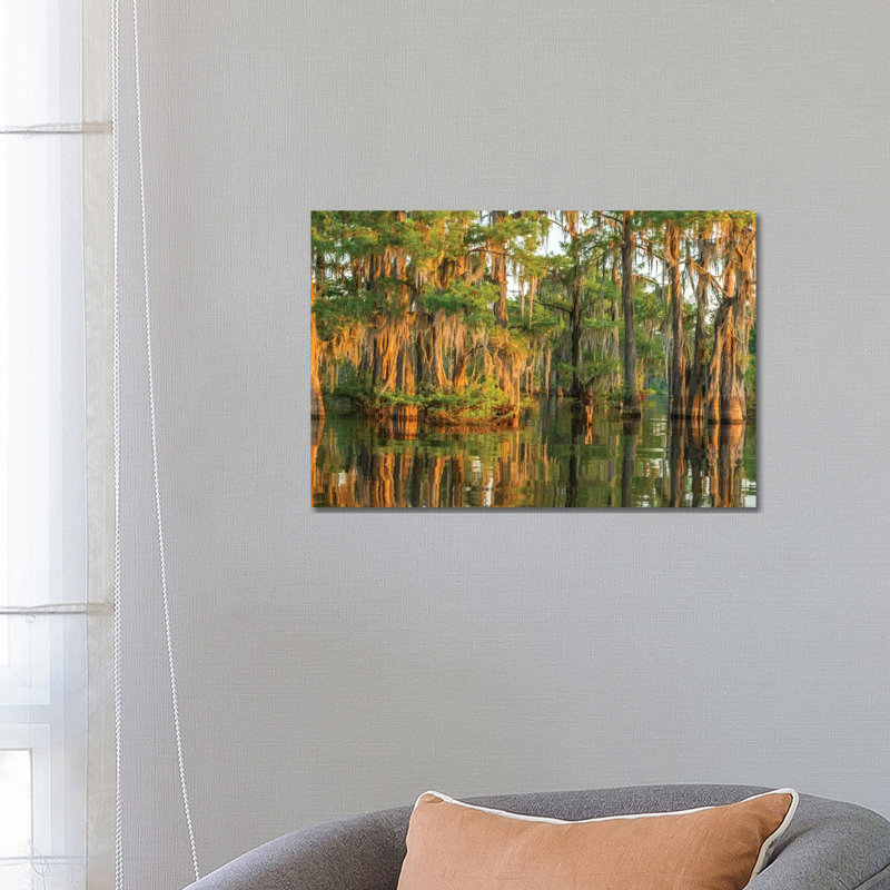 USA, Louisiana, Atchafalaya National Wildlife Refuge. Sunrise on cypress trees and Spanish moss. 1 Piece Wrapped Canvas Wall Art