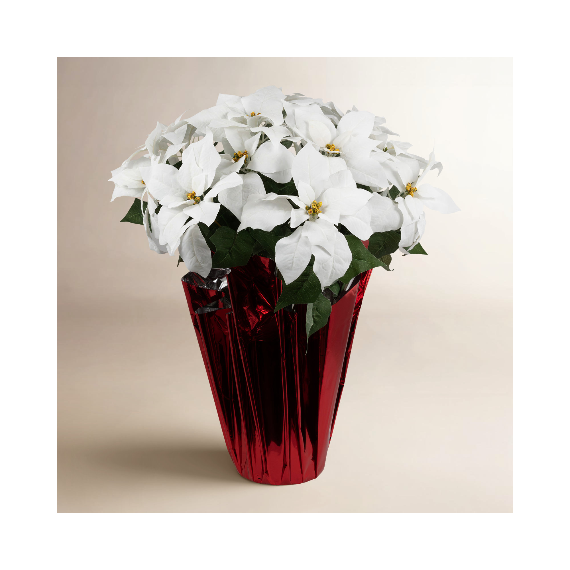 Poinsettia Arrangement, 26" H x 17" W x 17" D, White, Red