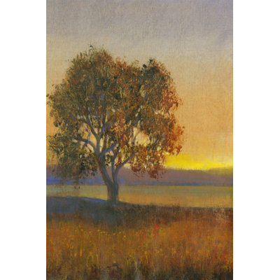 Firelight II by Timothy O' Toole - Wrapped Canvas Painting