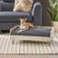  Lit pour chien moderne avec coussin, canapé pour animaux surélevé avec pieds en épingle à cheveux pour décoration de salon, gris foncé