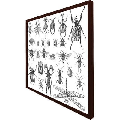 Birnir Single Picture Frame Print