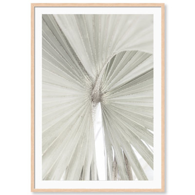 Carly Tabak " Mint Palm " by Carly Tabak