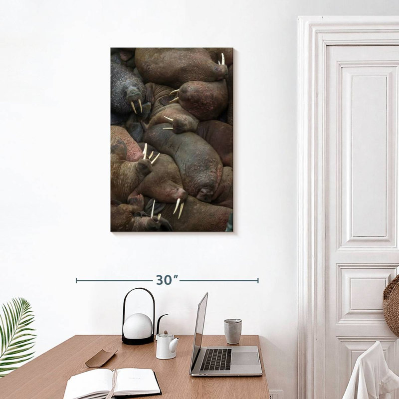 Brampt Walrus Rookery, 30" H x 20" W