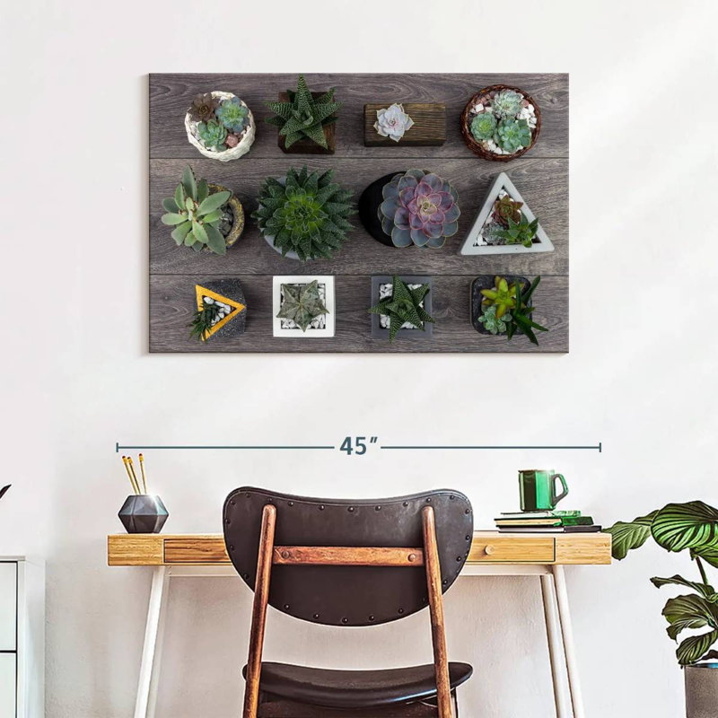 Harnek Assorted Succulents, 26" H x 39" W