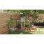 Bryent Polycarbonate Greenhouse with Rain Gutters, Large Walk-In-213121379