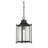 Benisch Black 1 -Bulb 18.75" H Outdoor Hanging Lantern