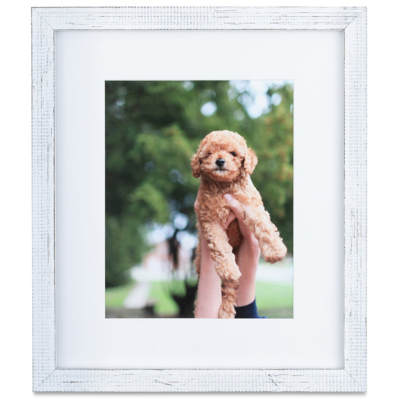 Cadre photo Blevins, 4 po x 6 po, Blanc