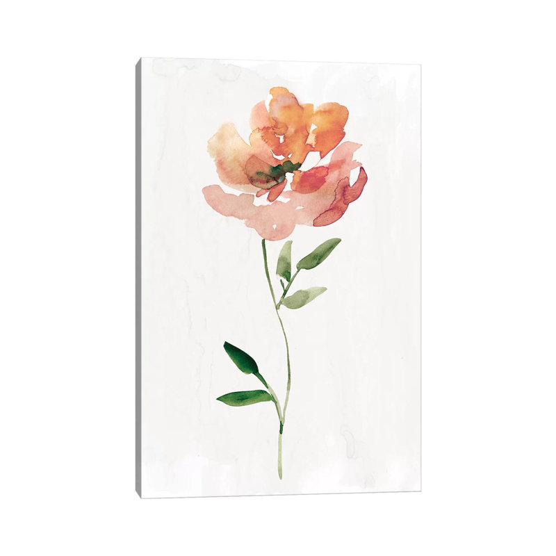 Happy Bloom I by Carol Robinson - Print on Canvas, 30.48 cm H x 45.72 cm W, Wrapped Canvas