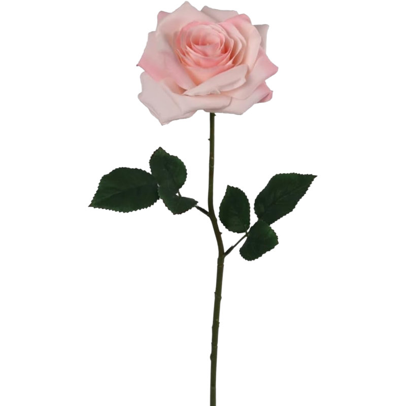 Tige de rose ouverte 20 po - paquet de 12