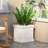 Roden Handmade Pot Planter-385826985-334544684