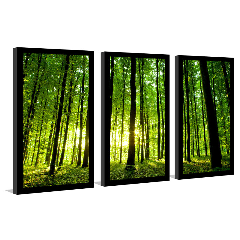 Enlighten Me - ensemble de 3 reproductions de photos sur acrylique, H 33,5 po x l 52,5 po x P 1 po