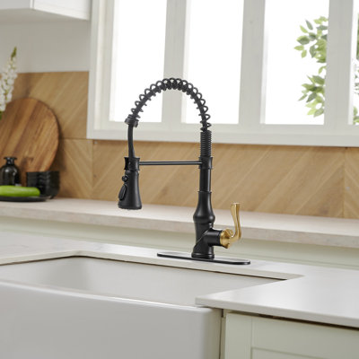 VIBRANTBATH Kitchen Faucet