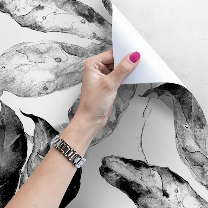 Canace 2.5m x 2.5m Matte Mural, 250 x 250cm