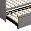 Lit Deadeira-822026102