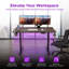 Solid Rubberwood Electric Standing Desk with Single Motor, Adjustable Height Sit‑Stand Desk