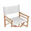 Thurley Folding Director Chair