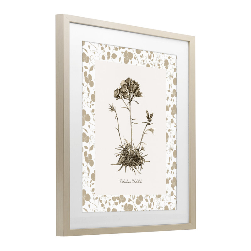 «Neutral Imperial Flower & Herb», reproduction sous verre encadrée, design par Kelly Donovan, H 16 po x l 13 po