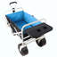 Chariot de plage pliable-123262906
