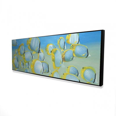 " Butterfly Fishes "